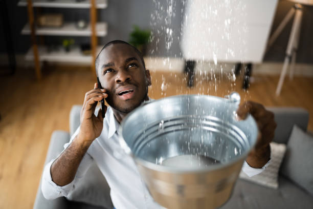 Best Water damage cleanup near me  in Rolling Hills, CA