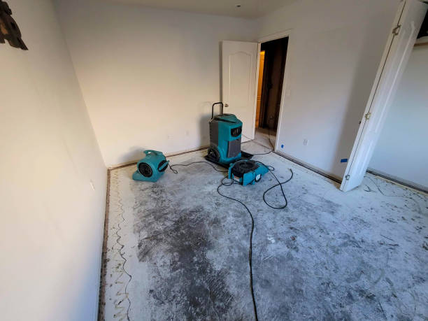 Best Fire Damage Restoration  in Rolling Hills, CA