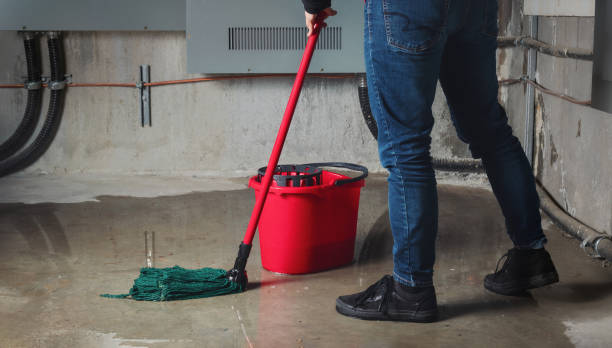 Best Water damage restoration process  in Rolling Hills, CA