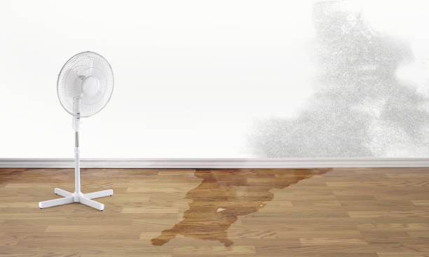 Best Flood damage cleanup  in Rolling Hills, CA