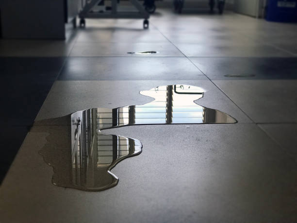 Best 24-hour water damage restoration  in Rolling Hills, CA