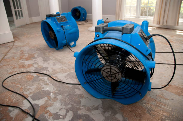 Best Flood restoration services  in Rolling Hills, CA