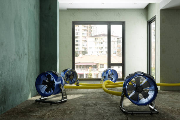 Best Water damage contractors near me  in Rolling Hills, CA